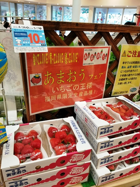 広川サービスエリア 下り線的實拍高清圖