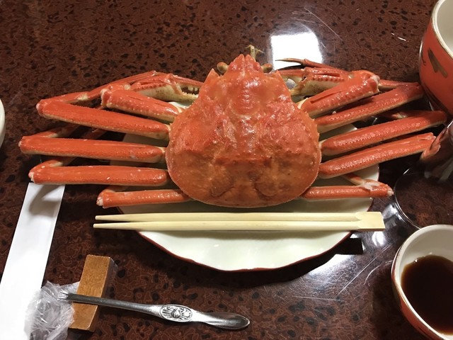 海月楼的实拍高清图