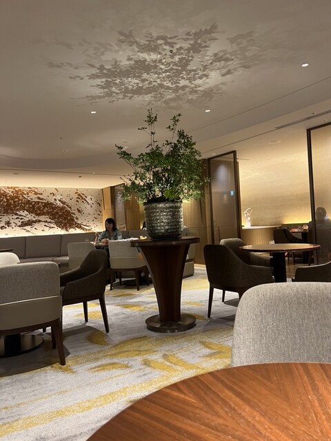 MAYFAIR的实拍高清图