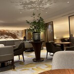 MAYFAIR的实拍图