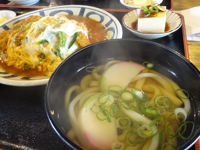 土佐うどん的實拍高清圖