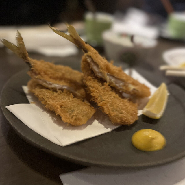 魚oh貝的实拍高清图