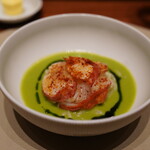 recommendations for スガラボヴィー