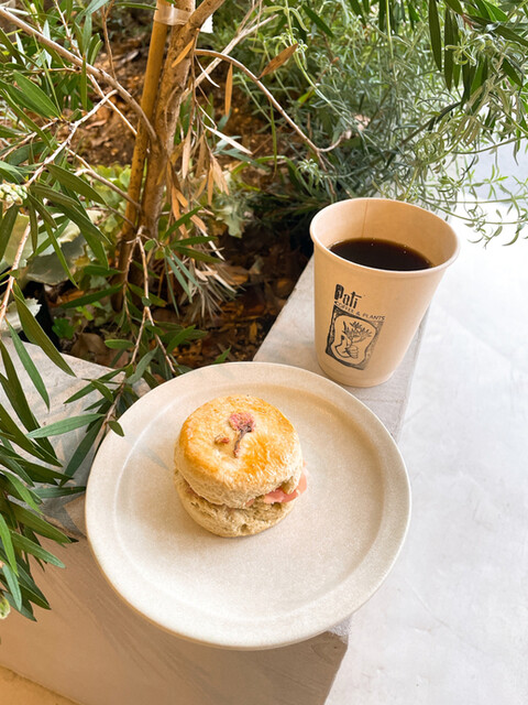 Pati COFFEE&PLANTS的實拍高清圖