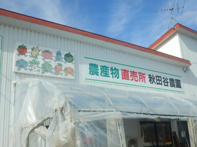 秋田谷農園的实拍高清图