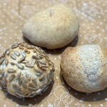 recommendations for スギノキ