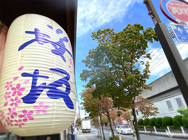 らーめん桜坂的實拍高清圖