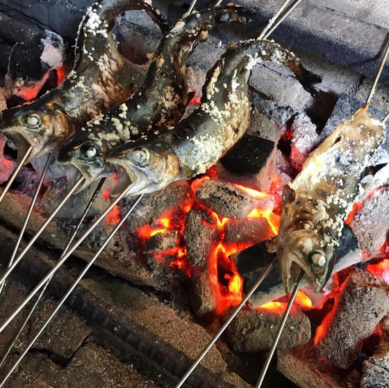 辻野養魚場的實拍圖