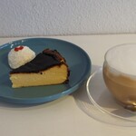 recommendations for papillon