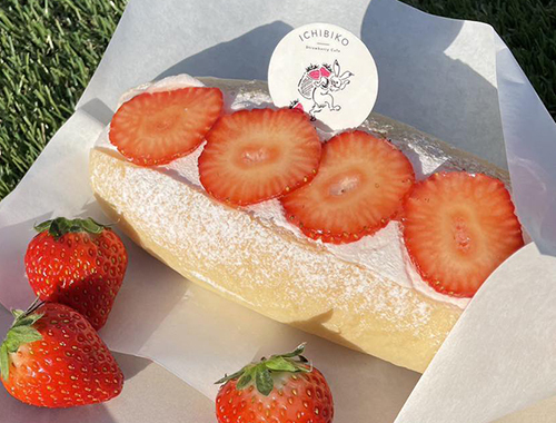 recommendations image for ICHIBIKO 北海道ボールパークFビレッジ店