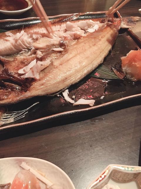 漁的实拍高清图