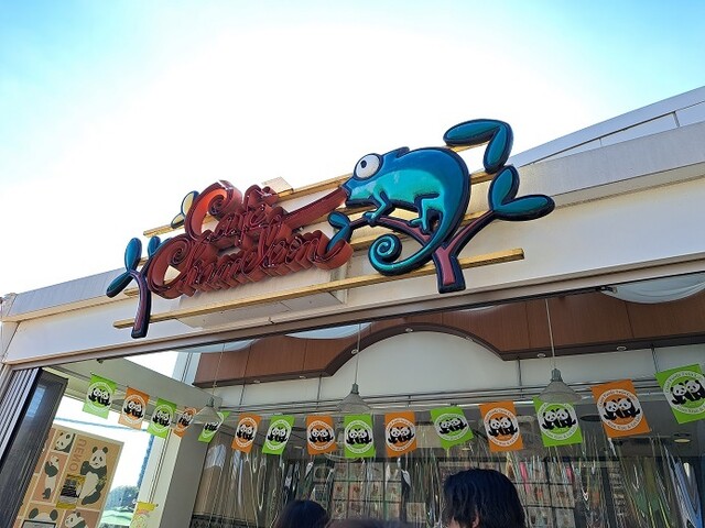 上野動物園 カフェカメレオン的实拍高清图