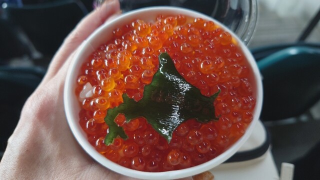海味 はちきょう的实拍高清图