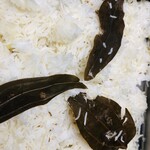 recommendations for インドレストランニューデリー