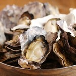 recommendations for サカナトニック BACU