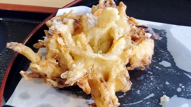 天松的實拍高清圖