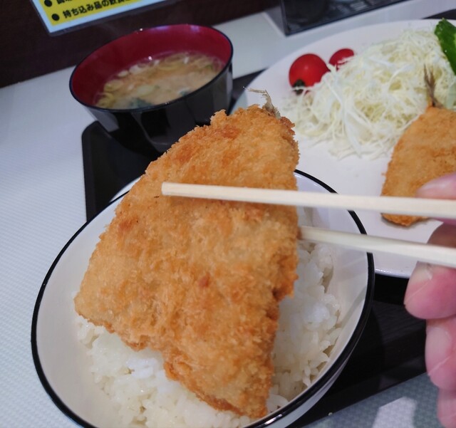 どんぐり的实拍高清图