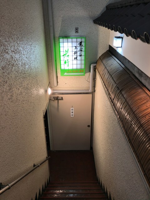 若竹的實拍高清圖