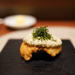 recommendations for スガラボヴィー