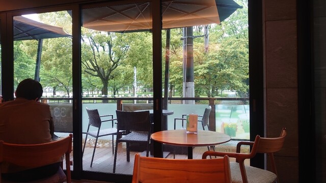 33カフェ グリーン的實拍高清圖