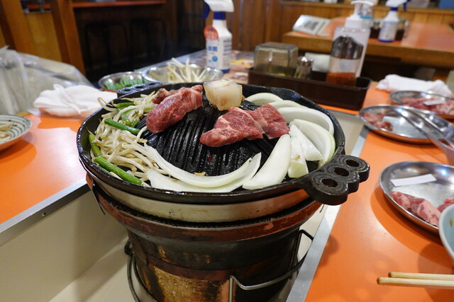 Ram的实拍高清图