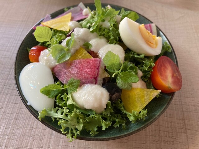bistro plus的实拍高清图