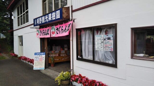 阿野観光果樹園的实拍高清图