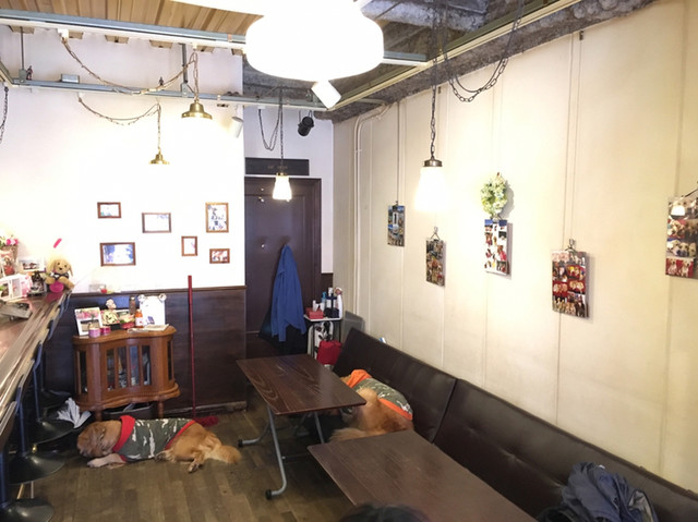 recommendations image for cafe de monca