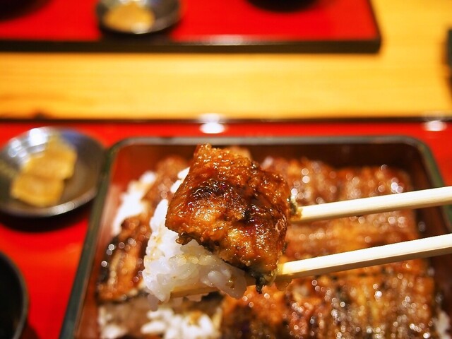 うな次郎的实拍高清图