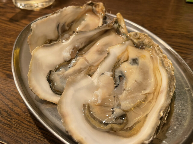 大厚岸的实拍高清图