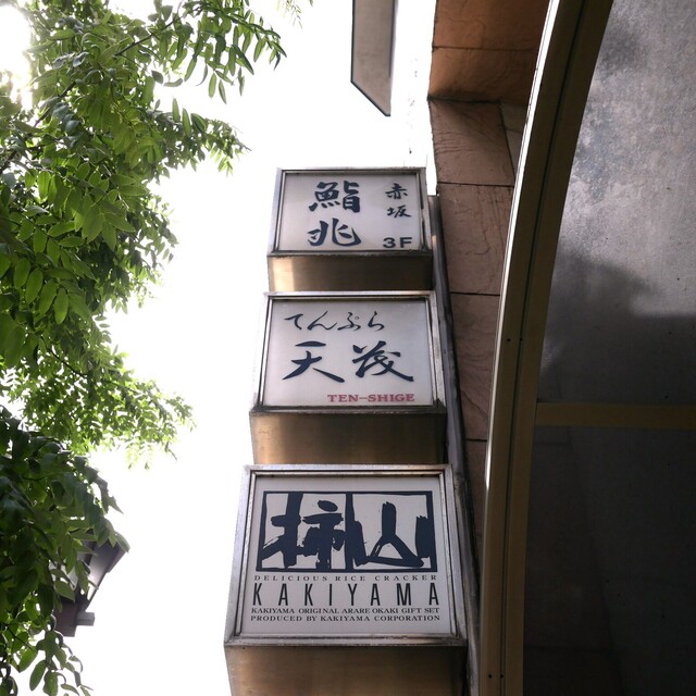 天茂的實拍高清圖