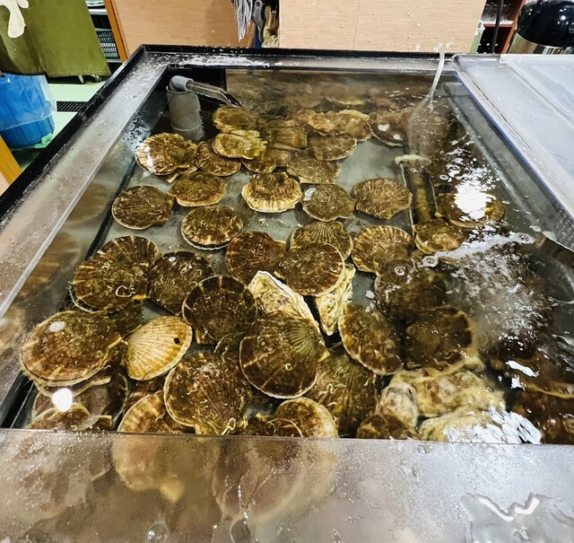 海鮮処 かふか的实拍高清图