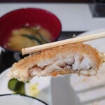 どんぐり的实拍图