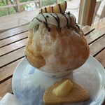 森乃百日氷的實拍圖