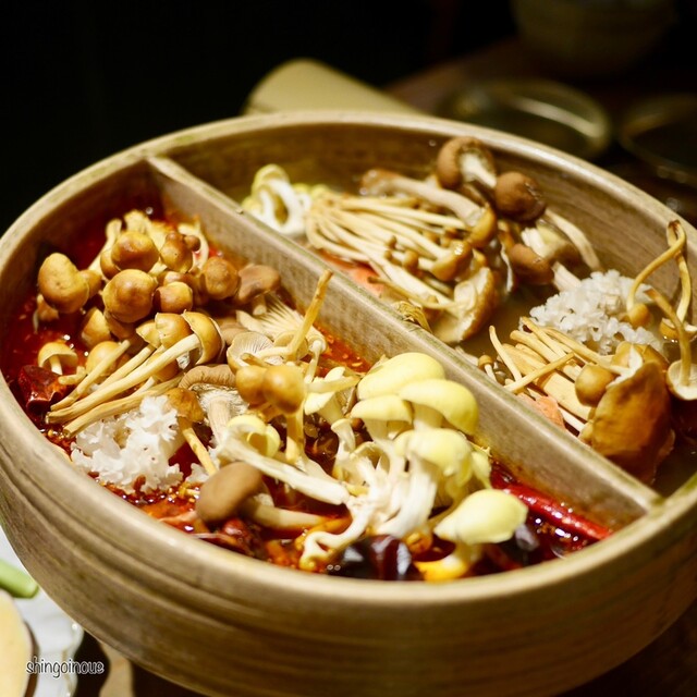 裏の山の木の子的實拍高清圖