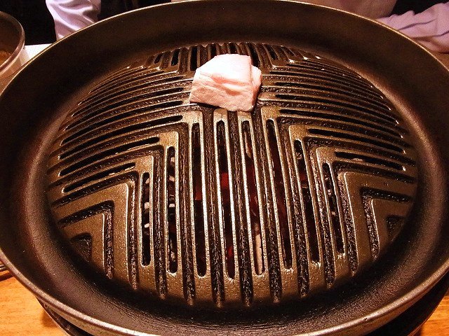 駱駝家的實拍高清圖