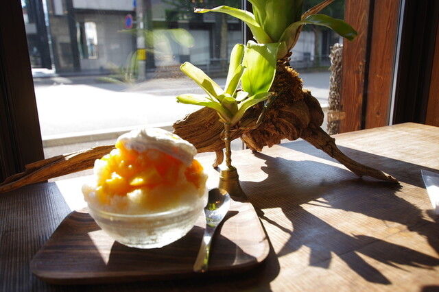 ｃａｆｅ ｂａｌｉ ｇａｓｉ 北山的實拍高清圖