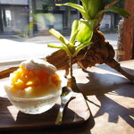 ｃａｆｅ ｂａｌｉ ｇａｓｉ 北山的實拍圖