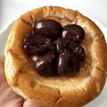 recommendations for SHINA