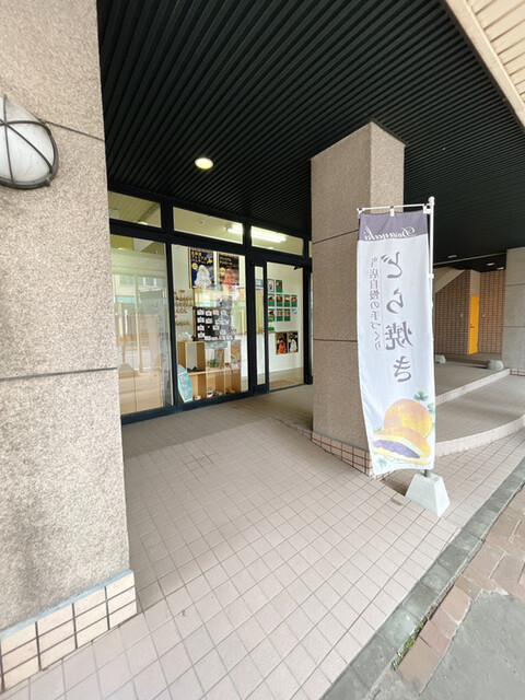 elm的实拍高清图