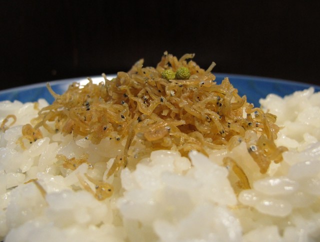 津乃弥的實拍高清圖