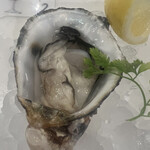 OYSTER&Bistro 魚秀 代々木八幡店的實拍圖