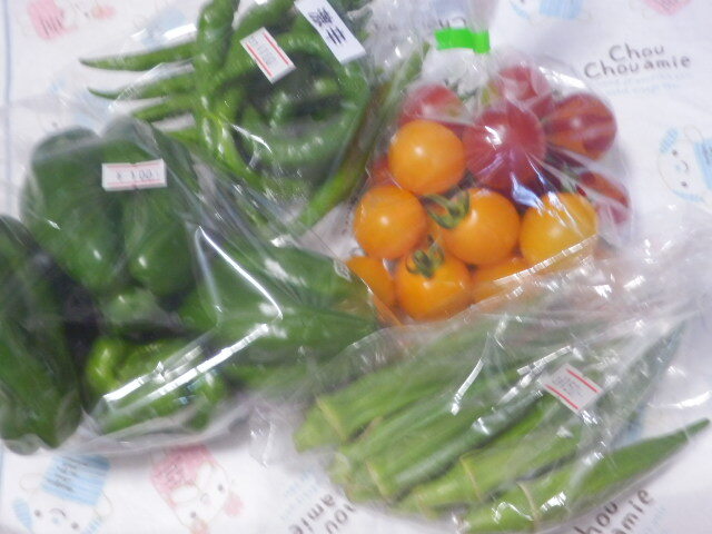 茂世丑野菜直売所的实拍图