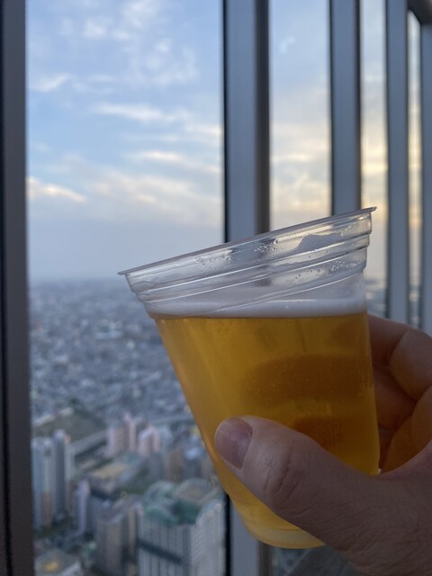 SKY GARDEN 300的實拍高清圖