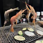 ロバタノカリスマ的實拍圖