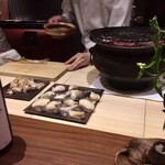 弧柳的實拍圖