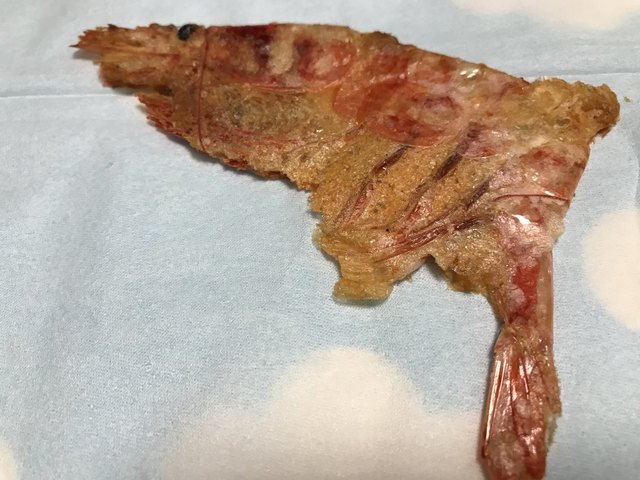 越前海鮮倶楽部 大阪店的實拍高清圖