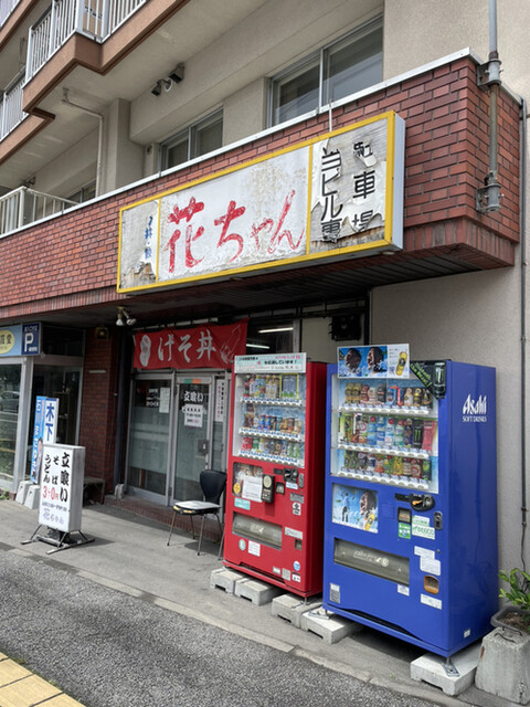 花ちゃん的实拍高清图