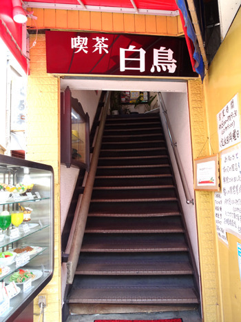 白鳥的實拍高清圖