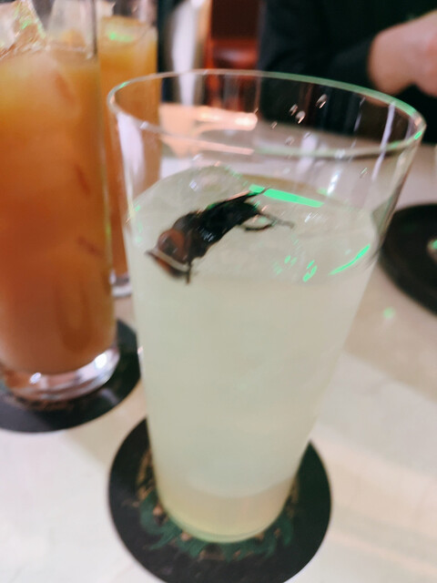 爬虫類バー ゴルゴーン的實拍高清圖